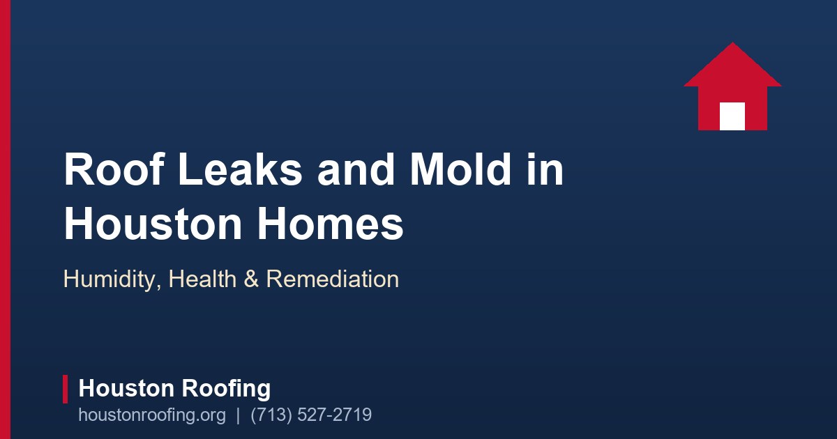 Water stain and early mold growth on a ceiling below a roof leak in a Houston home